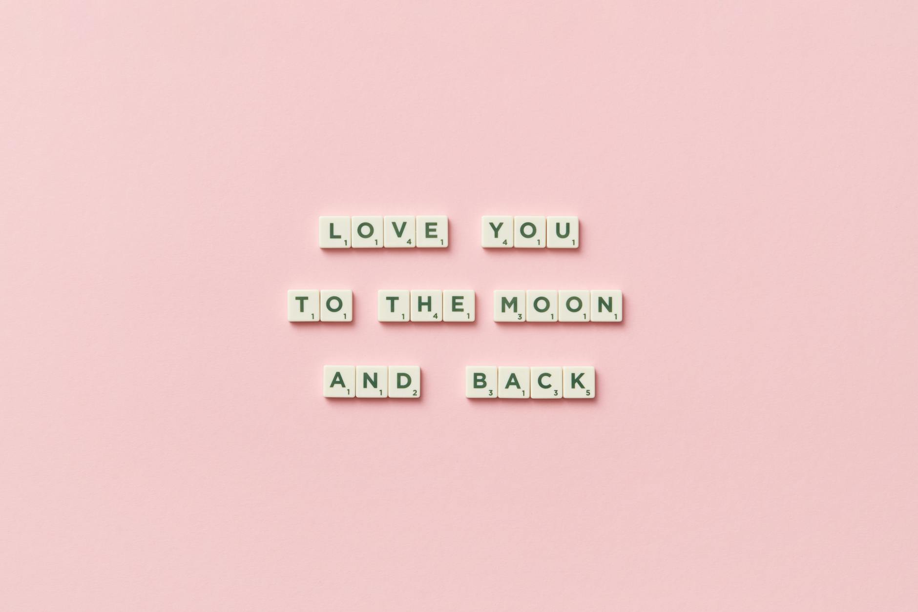 The Sujihiki Knife: Precision, Sustainability, and the Art of the Slice